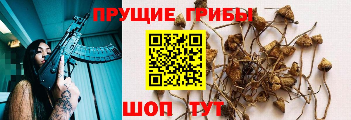 Чебоксары  Галлюциногенные грибы GOLDEN TEACHER  Вход с VPN 